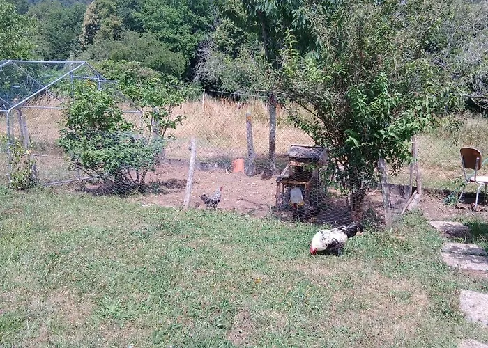 Joli Au Calme Apartman Périgueux