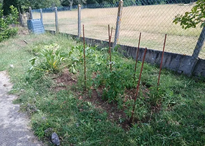 Joli Au Calme Périgueux